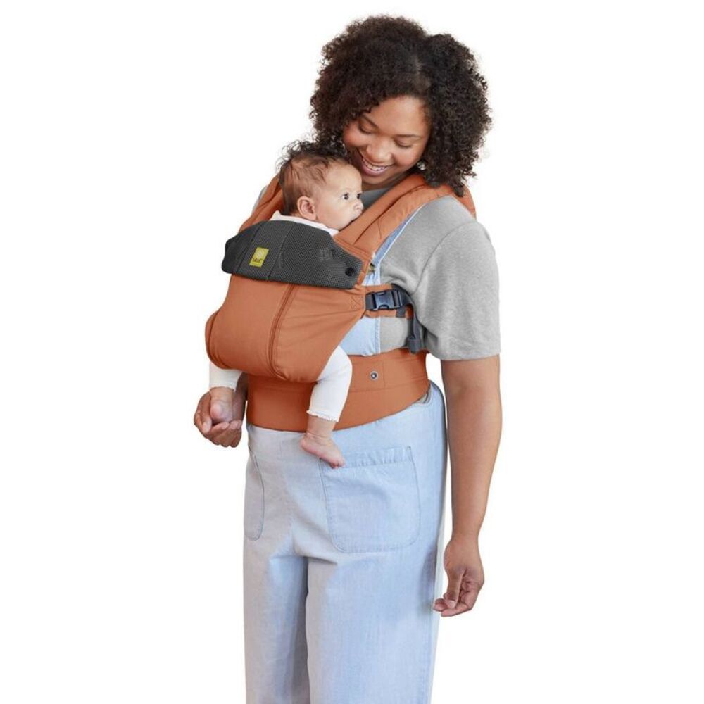 LILLEbaby Complete All Season Baby Carrier - Newborn & Up - Terra